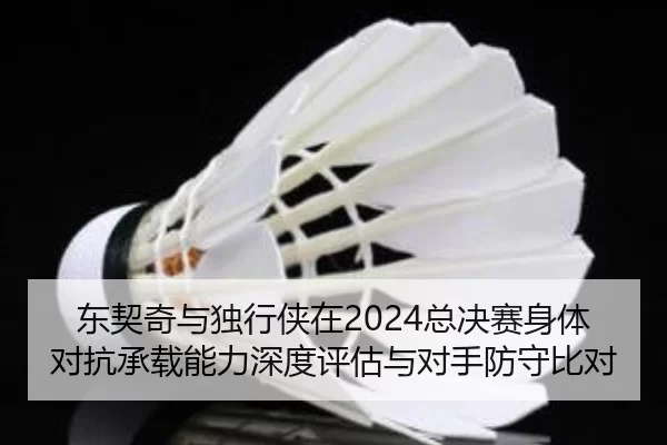东契奇与独行侠在2024总决赛身体对抗承载能力深度评估与对手防守比对